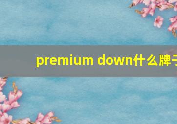 premium down什么牌子